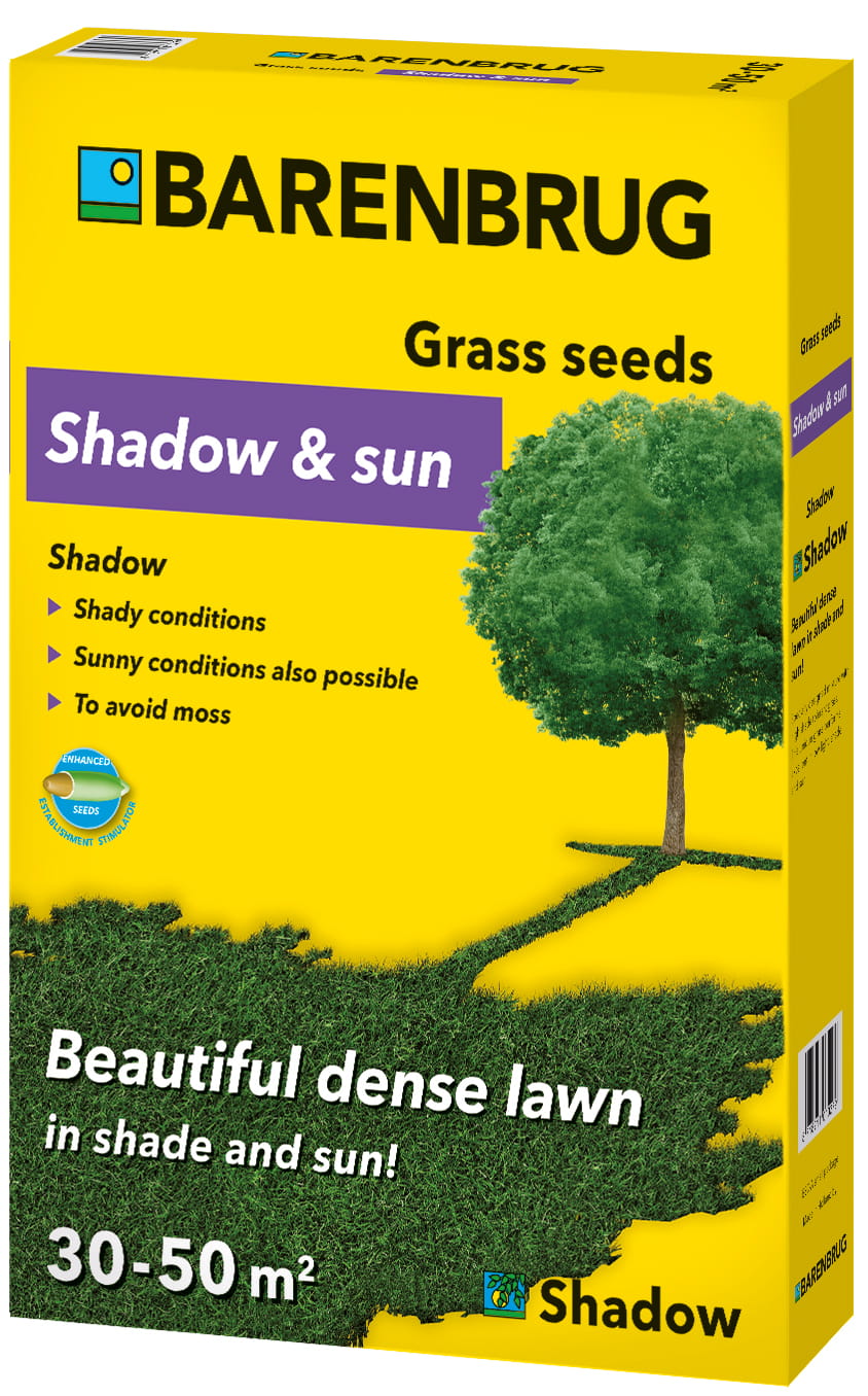 Barenbrug Shadow  1 kg - reprezentacyjna mieszanka na słońce i do cienia