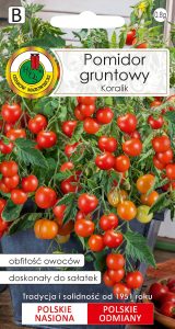 Pomidor gruntowy Koralik 1g