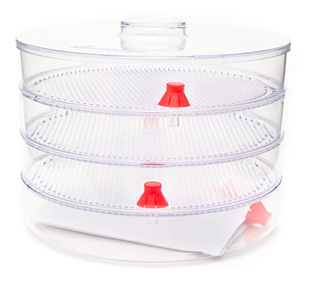 Kiełkownica kiełkownik Torseed 