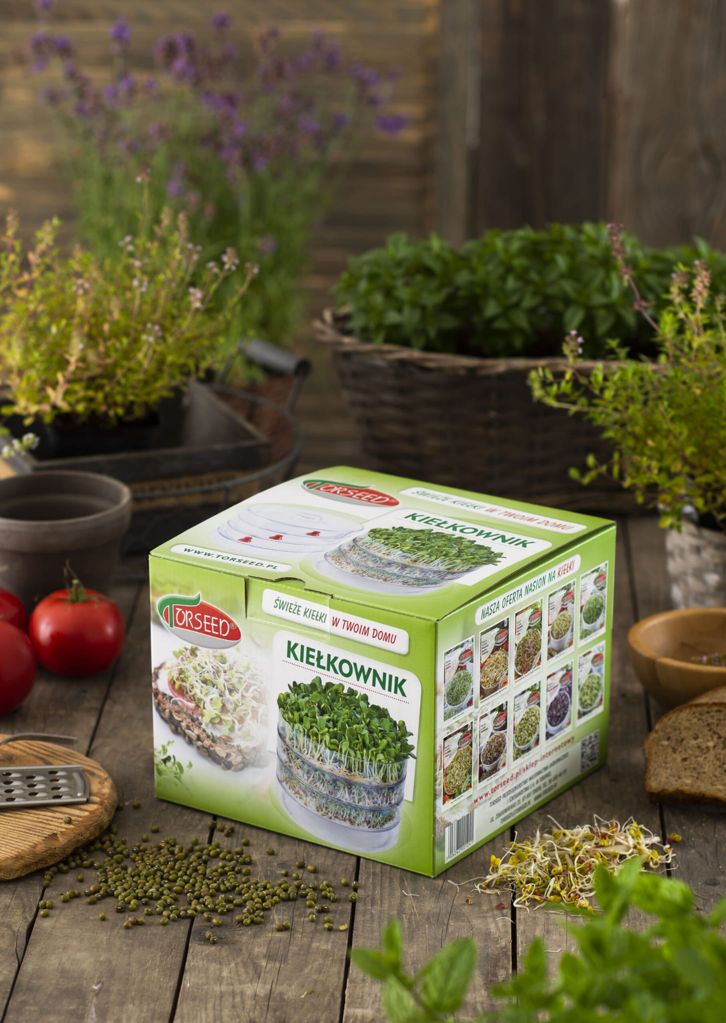 Kiełkownica kiełkownik Torseed 