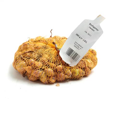 Cebula dymka żółta Sturon  250g