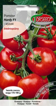 Pomidor Hardy F1- szklarnia, tunel, pole