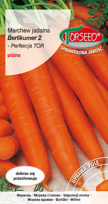 Marchew Berlikumer 2 - późna 