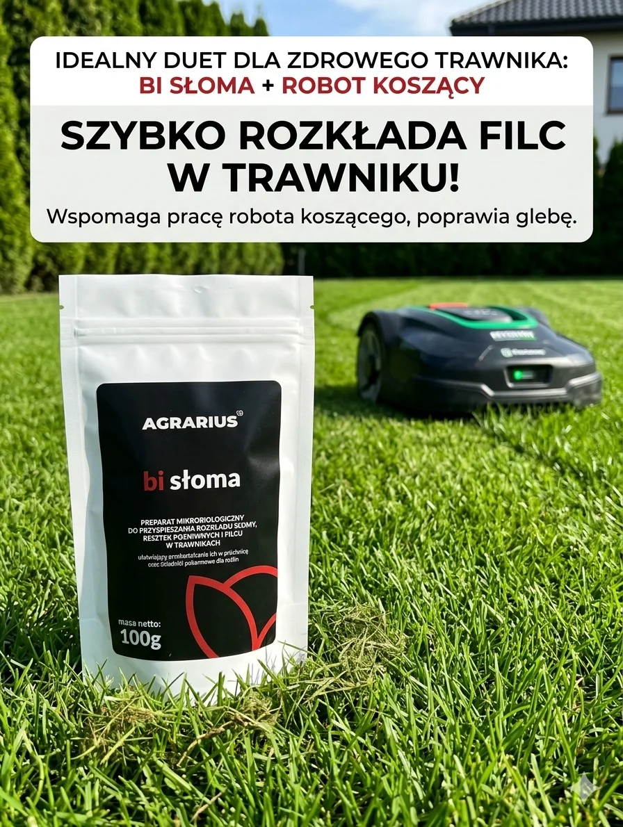 Bi słoma 100g- do rozkładu filcu w trawniku 