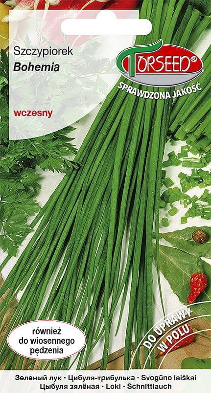 Szczypiorek Jowisz 1g